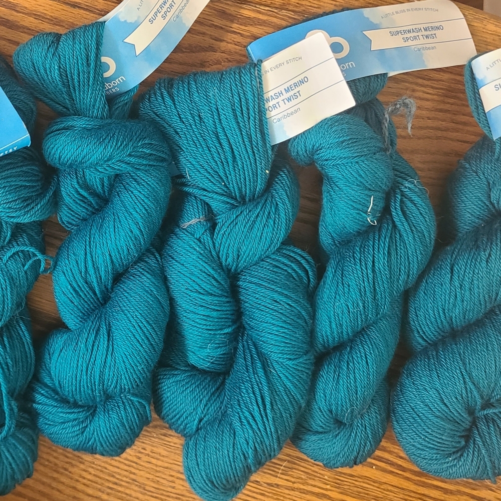 Cloudborn Fibers Superwash 100% Murino Wool Caribbean